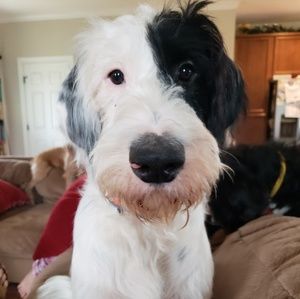 Meet your Posher, Angela